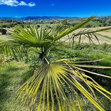 Spoleto Poolside07 Kms Centresleeps 24Wifiairconentire Property Exc Yours Colle Umberto (Umbria)
